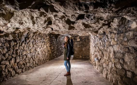 Budapest: Tour della grotta del castello di Buda